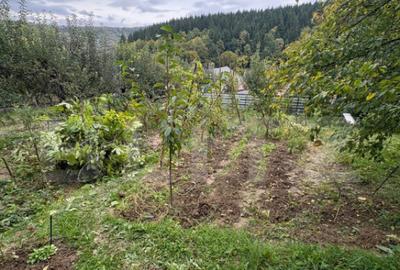 Teren intravilan de vanzare, 556 mp, zona strada Taberei - 3