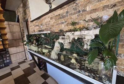 Casă cu 4 camere cu Teren 3448.6 Mp în Albești - 18