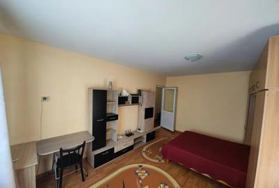 Garsonieră decomandată în Podu Roș - 7