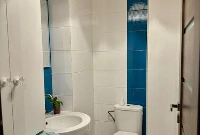 Apartament 3 camere Metalurgiei Cartierul Solar - 12