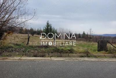 Teren de 5000 mp, în Central - 4