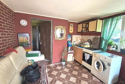 Casa singur in curte in Guserita - 3