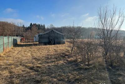 Teren de 1200 mp, în Snagov - 3