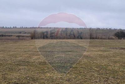 Teren 2925 mp comuna Mitocu Dragomirnei - 1