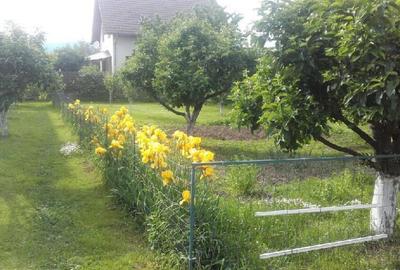 Casă cu 5 camere cu Canalizare în Central - 1