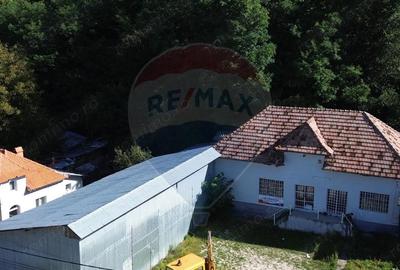 Spatiu comercial si casa de vanzare in Furnicosi. - 9