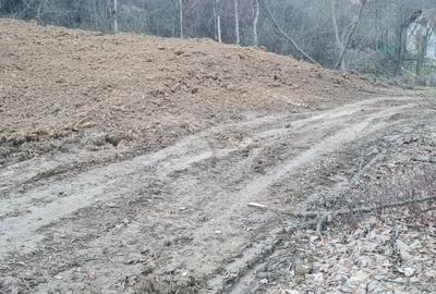 Teren de 3200 mp, în Budeasa - 3