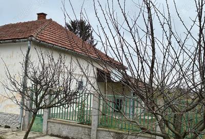 Vand casa cu 2 camere in UNGARIA Magyarbanhegyes - 2