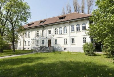 Cladire istorica- Ideal Investitie 700 mp + 3200 mp teren, Tatarasi - Spital Pas - 1