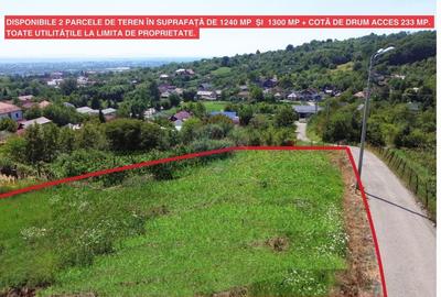 Teren extravilan de vanzare in Baia Mare- Valea Borcutului - 1