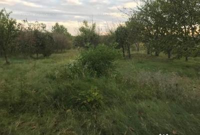Teren de 500 mp, în Podu Iloaiei - 4