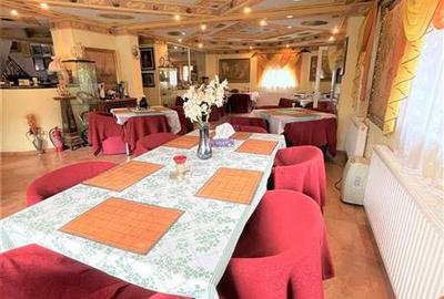 Hotel/Pensiune, de 400 mp, în Exterior Est - 22