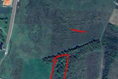 Spațiu comercial, în Bunești - 2