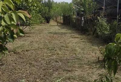 Casă cu 4 camere în Central - 3