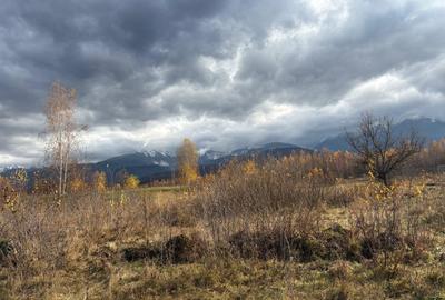 Teren  de vanzare -PUZ aprobat | 860 mp |  Valea Avrigului - 2