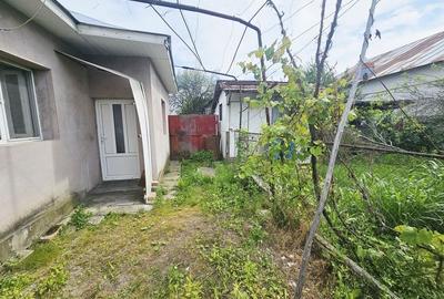 Casă cu 2 camere și teren generos, Dărmănești – Exclusivitate - 5