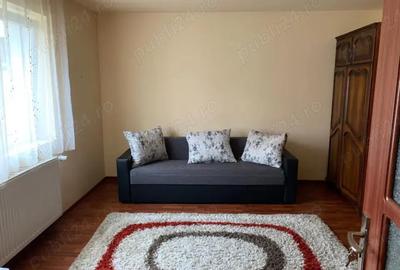 Casa spa?ioasa + 3000mp teren, foraj 120m, zona pitoreasca Balint, Timi? - 2