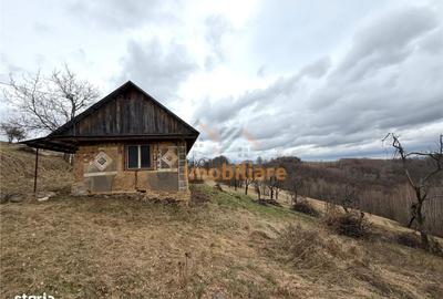 Teren de 34000 mp, în Borod - 3