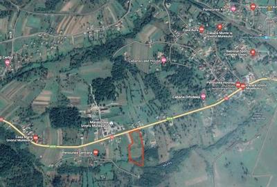 Teren intravilan 24000 mp potential imens - Izvoru Muresului, Harghita - 5
