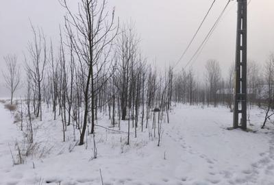 Teren intravilan , 5000mp, zona Negostina, Siret - 2