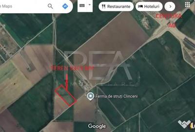 Teren de 9345 mp, în Clinceni - 2