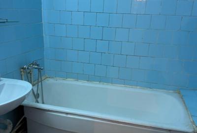 Apartament cu 3 camere decomandat în Dristor - 9