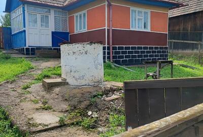 Casa de vanzare - 1