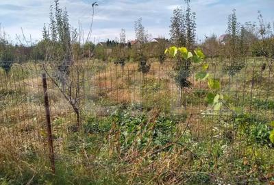 Teren de 4170 mp, în Bercu Roșu - 3