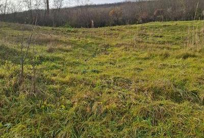 Teren de 3000 mp, în Golăiești - 5