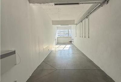 Spatiu Industrial - 52 mp - Productie - Depozitare - Distributie - Sibiu - 2