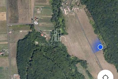 Teren extravilan 28.800 Mp , zona Rora, Sighisoara - 3