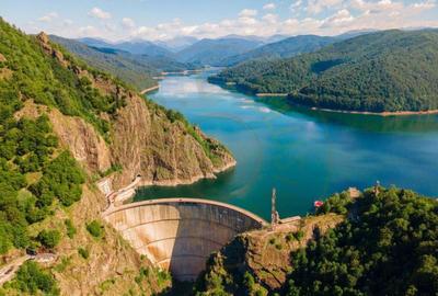 Teren 4996 mp zona de munte Comuna Arefu-Capataneni Arges - 6