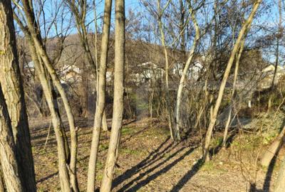 Teren intravilan 738 mp, zona Viforata, Comision 0 - 10