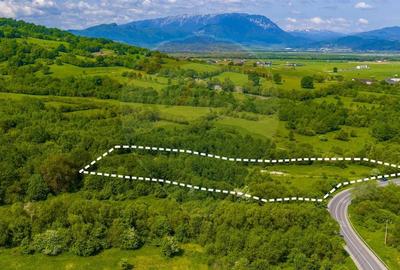 Teren Construcții intravilan de 10000 mp, în Glăjărie - 6