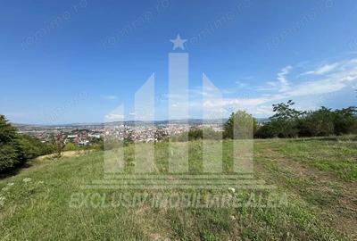 Teren intravilan de vanzare, Podei - 1