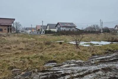Teren de 6000 mp, în Seini - 2