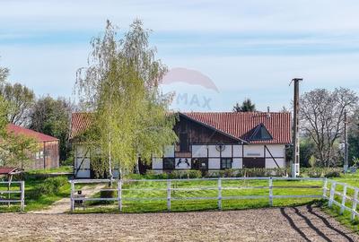 Hotel/Pensiune, de 2,950 mp, în Pănicel - 11