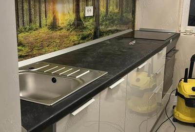 Inchiriere Apartament 3 camere- Obor- Strada Elena - 6