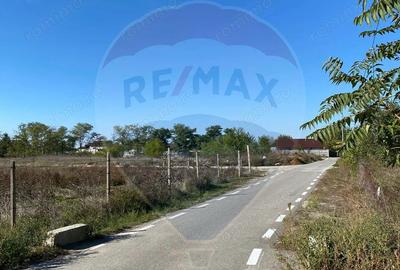 Teren 2,500mp Malu Mare / Strada BECHETULUI - 6