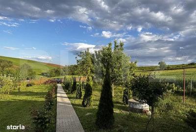 Casă cu 2 camere în Gheja - 5