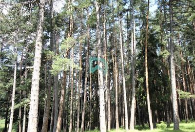 Teren Construcții intravilan de 1500 mp, în Poiana Angelescu - 16