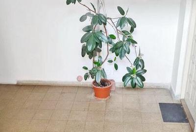 Apartament cu 4 camere decomandat în Blumăna - 2