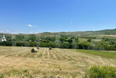 Teren intravilan, construibil in MACICASU , 3 KM de la Chint - 4