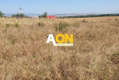 Teren agricol extravilan de 7737 mp, în Sud - 1