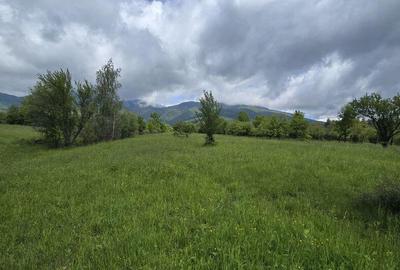 Teren intravilan - 2 minute de centru Prundu Bargaului - ... - 2