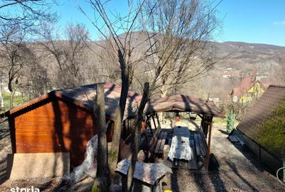 Teren de 1050 mp, în Păușești - 3
