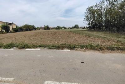 Spațiu comercial, în Bolintin-Deal - 6