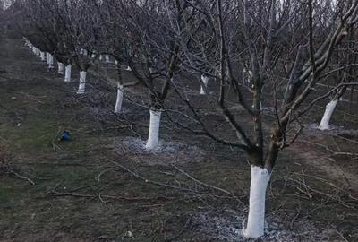 Teren de 500 mp, în Iratoșu - 6