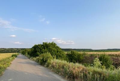 Teren la nord de Paradisul Verde Corbeanca, langa padure si sosea