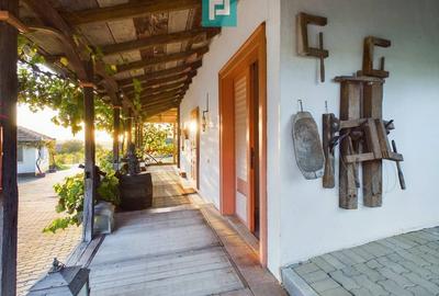 Casă individuală cu 6 camere cu Canalizare în Miniș - 14